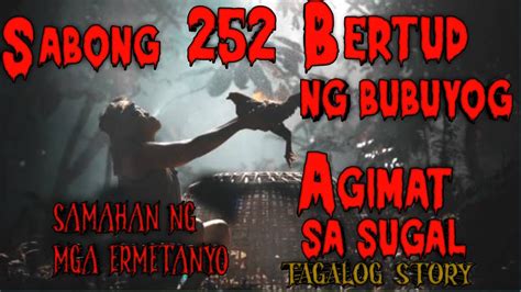 BERTUD NG BUBUYOG NA GINAMIT NG MGA SABONGERO .